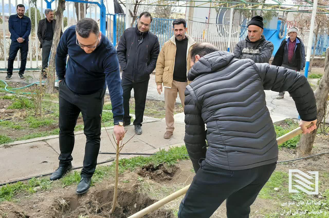همدلی و ایثار به مناسبت روز درختکاری 3